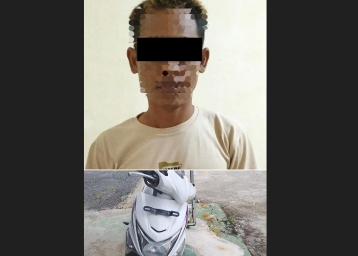 Tim Gabungan Polsek Way Serdang dan Tekab 308 Polres Mesuji Bekuk Pelaku Curanmor Asal OKI