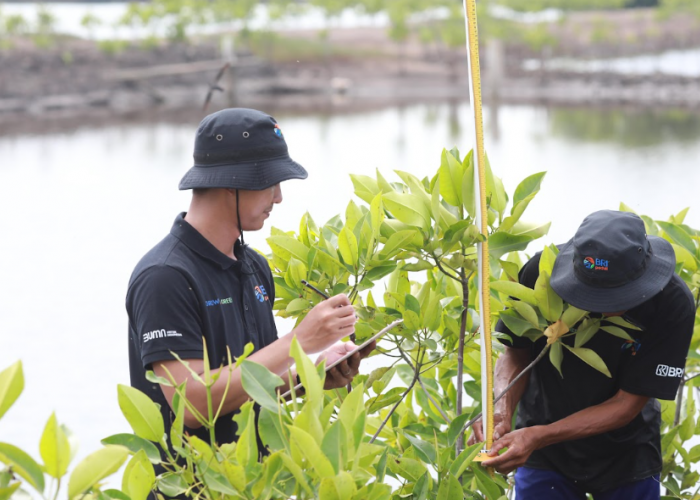 Peringati Hari Lingkungan Hidup Sedunia, BRI Wujudkan Aksi Nyata melalui Grow & Green