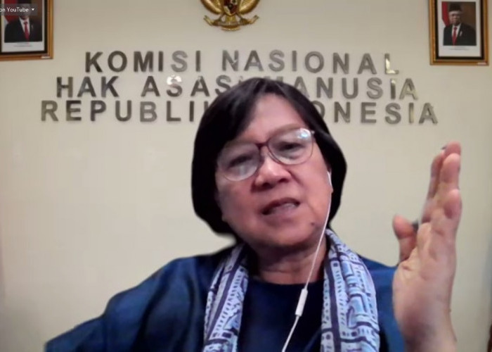 Krisis Perlindungan Pembela HAM di Indonesia: Ancaman Serius bagi Demokrasi dan Kewarganegaraan
