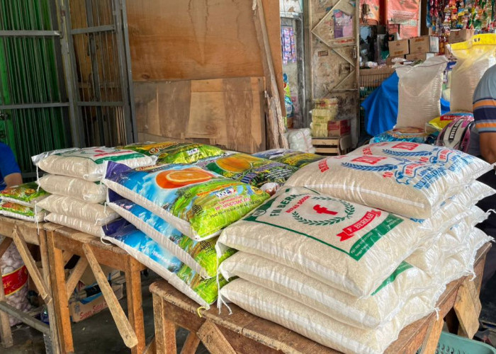 Harga Beras di Metro Stabil, Jenis Premium Paling Cepat Ludes