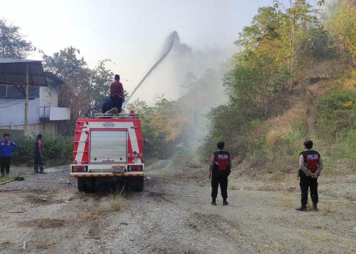 Marak Kebakaran Lahan, Polisi Lakukan Penyelidikan