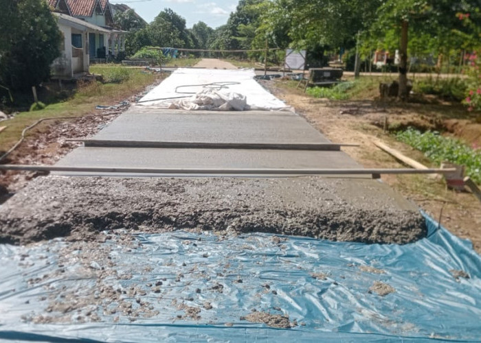 Infrastruktur Jalan Masih Jadi Prioritas Pembangunan Desa Mekar Jaya 