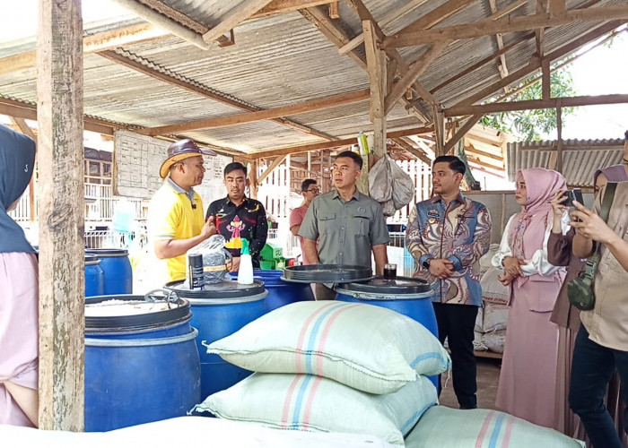Dorong Produksi Susu Kambing Etawa, Pemkot Metro Usulkan Bantuan ke Pusat