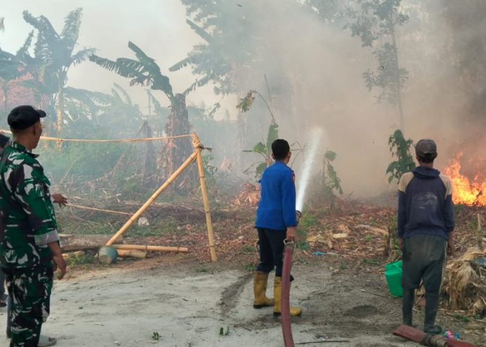Kebakaran Lahan di Banjar Agung Tulang Bawang, Damkar Gerak Cepat Padamkan Api