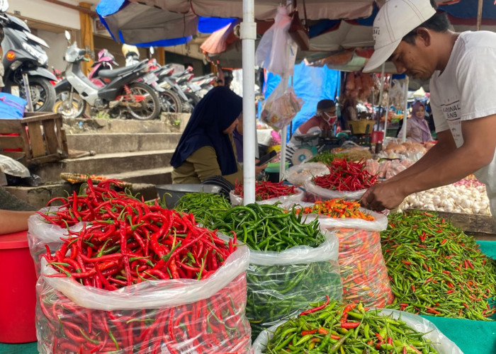 Pasca Lebaran Harga Cabai di Metro Turun, Pedagang dan Pelaku UMKM Bernapas Lega
