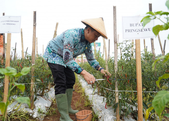 Bupati Riyanto Pamungkas Lantik Pengurus TP-PKK Kabupaten Pringsewu Periode 2025-2030 