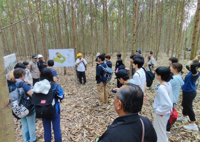 Sambangi APP Sinar Mas, Puluhan Pelajar Jepang Belajar Industri Kertas di Riau