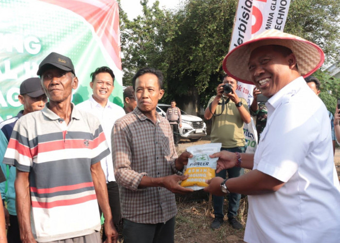 Wakil Bupati Lamteng Hadiri dan Apresiasi Penanaman Jagung Serentak Kuartal III di Seputih Agung