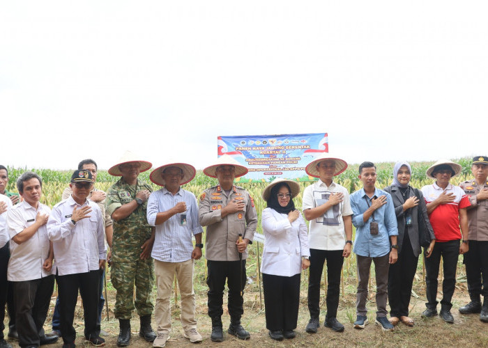 Polres Mesuji Gelar Panen Raya Jagung Serentak Kuartal II Tahun 2026
