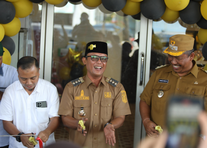 Ardito Wijaya, Bupati UMKM