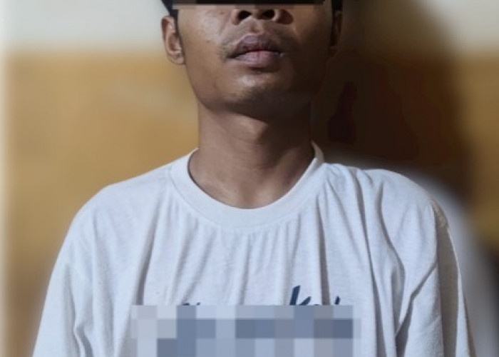 Kronologi Gadis 16 Tahun Diculik dan Disetubuhi Malam-malam di Kebun Karet Way Kanan