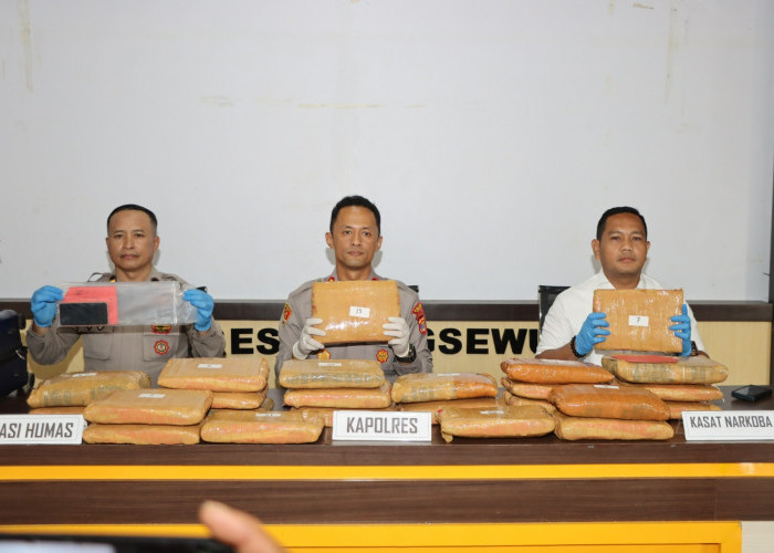 Bawa 24 Kilogram Ganja, Kurir Asal Sumatera Utara Ditangkap Satres Narkoba Polres Pringsewu