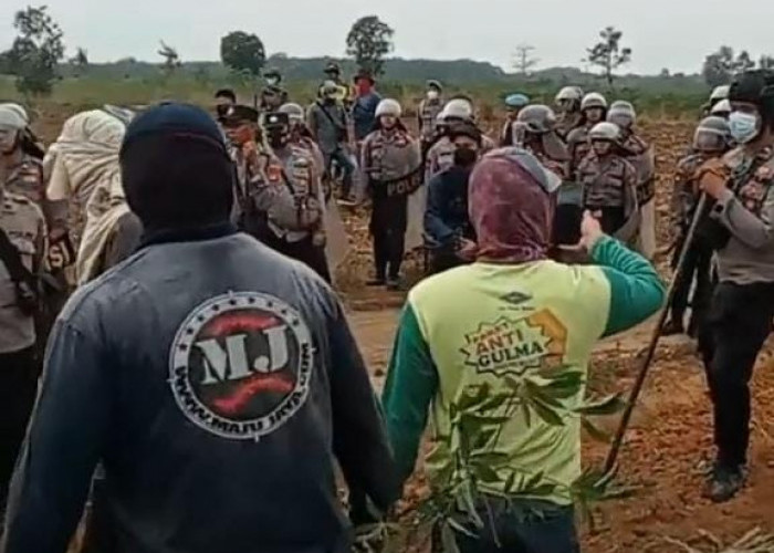 Demo Tuntut 800 Hektar Lahan PT BSA Berujung Ricuh, 7 Warga Diamankan Polisi