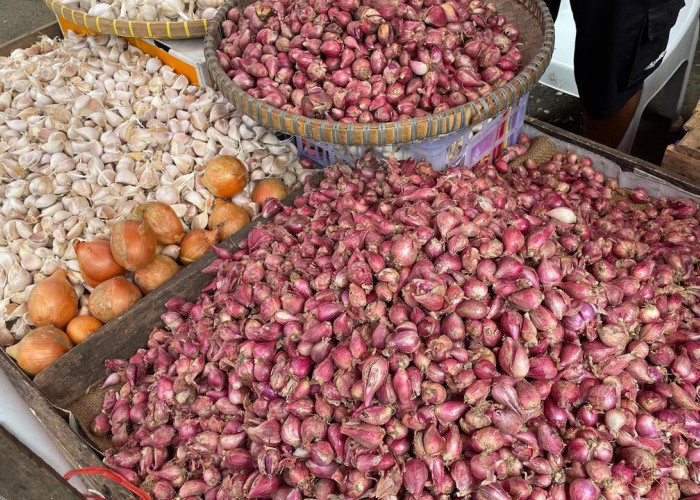 Harga Bawang Merah di Pasar Kopindo Metro Melonjak, Buat Konsumen Menjerit