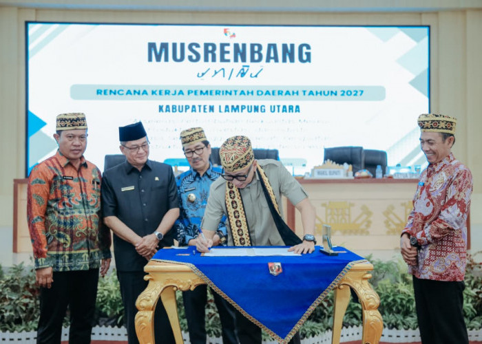 Harga Gabah hingga Singkong Naik, Pendapatan Petani Lampung Melonjak Signifikan