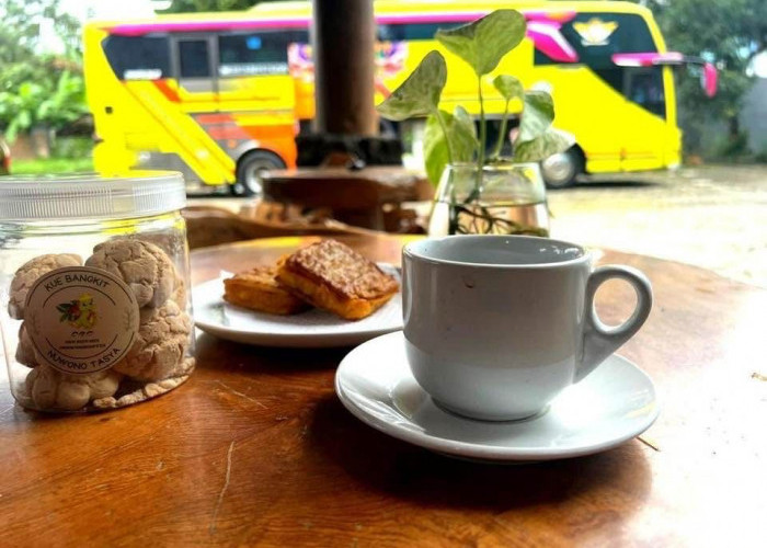 Mudik ke Lampung Tak Lengkap Tanpa Ini: 10 Oleh-oleh Legendaris yang Wajib Dibawa Pulang