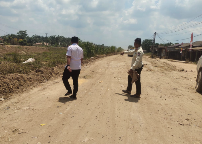 Akses Jalan Makin Lancar, Petani Padi di Mesuji Sebut Ongkos Angkutan Panen Kini Lebih Ringan
