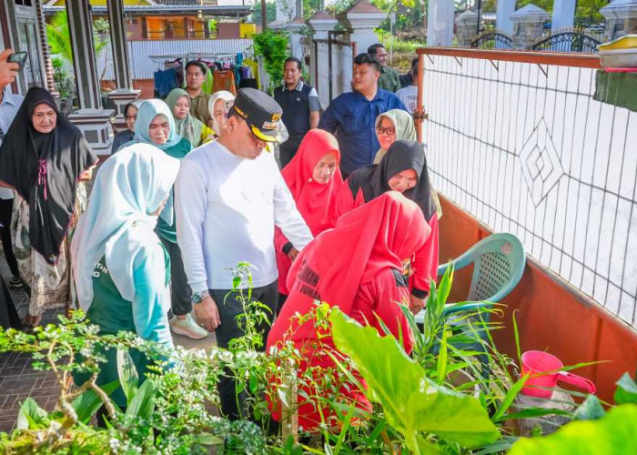 Masuki Musim Penghujan, Warga Diimbau Waspada DBD dan Intensif Lakukan Ini! 