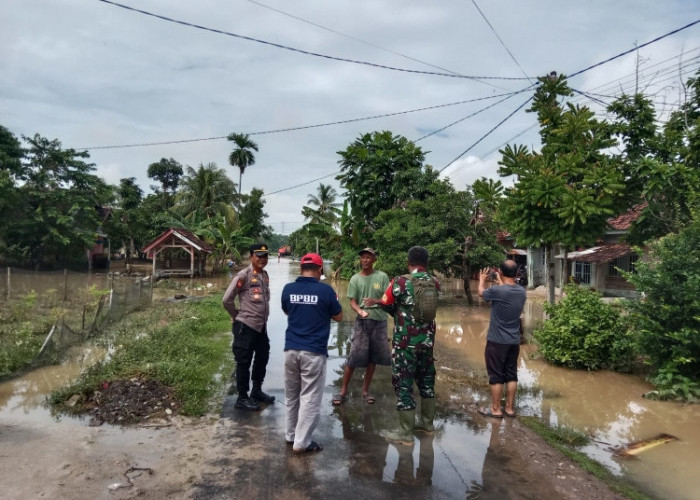 Hujan Deras di Pringsewu Sebabkan Banjir di Beberapa Wilayah, Warga Diminta Waspada