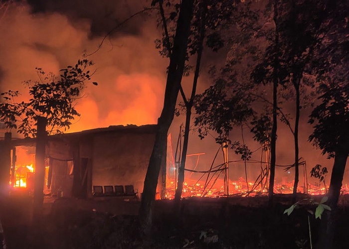 Breaking News: Kebakaran Kandang di Batanghari, Puluhan Ribu Ayam Terpanggang