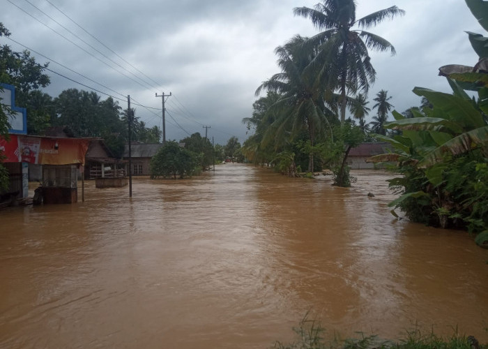 Dua Rumah Hanyut, Puluhan Lainnya Terendam Dampak Banjir Semaka Tanggamus