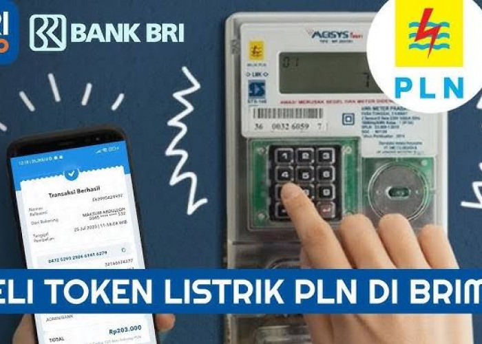 Praktis dan Cepat, BRImo Jadi Andalan Beli Token Listrik Ibu Rumah Tangga