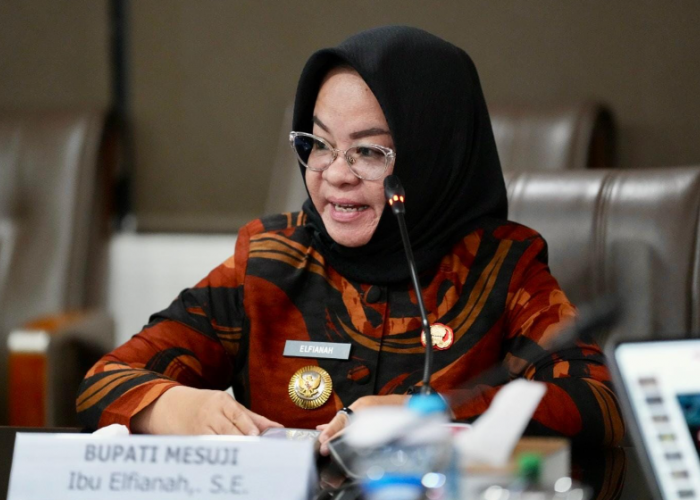Elfianah Gagas Satu Aplikasi untuk Semua Layanan Publik di Kabupaten Mesuji