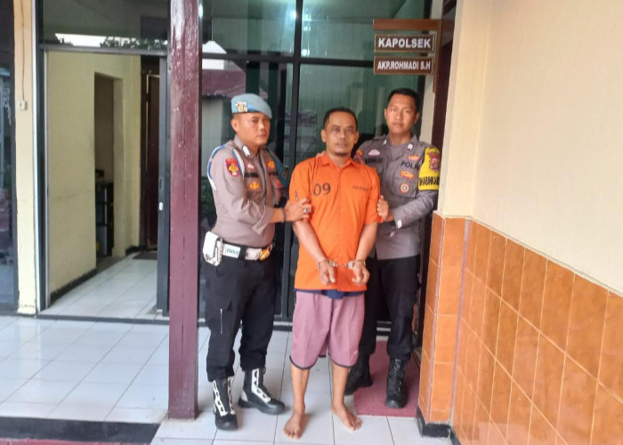 Tidak Setor Hasil Penjualan Nanas, Pedagang Buah Asal Lampung Selatan Dilaporkan ke Polisi