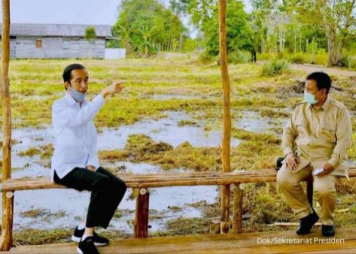 Dikritik PDIP, Jokowi Pastikan Program Food Estate Terus Lanjut