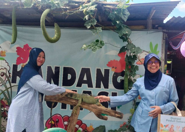 Kandang Edukasi Albizoo Ramah Anak Hadir di Condongcatur, Anak-anak Kini Bisa Belajar Sambil Bermain