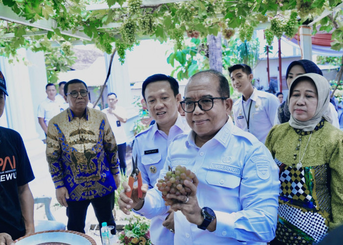 Pj.Gubernur Lampung Dukung Pringsewu Jadi Kota Anggur