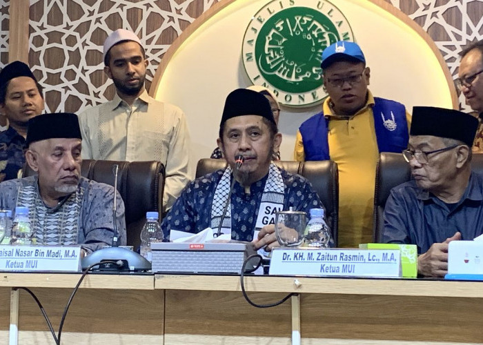9 Aktivis Kemanusiaan Ditahan Israel, MUI Desak Pemerintah Ambil Tindakan Tegas