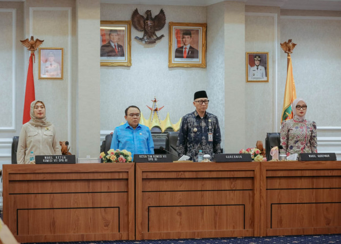 Terima Kunjungan Komisi VII DPR RI, Gubernur Lampung Dorong Penguatan Industri, Pariwisata, dan UMKM 