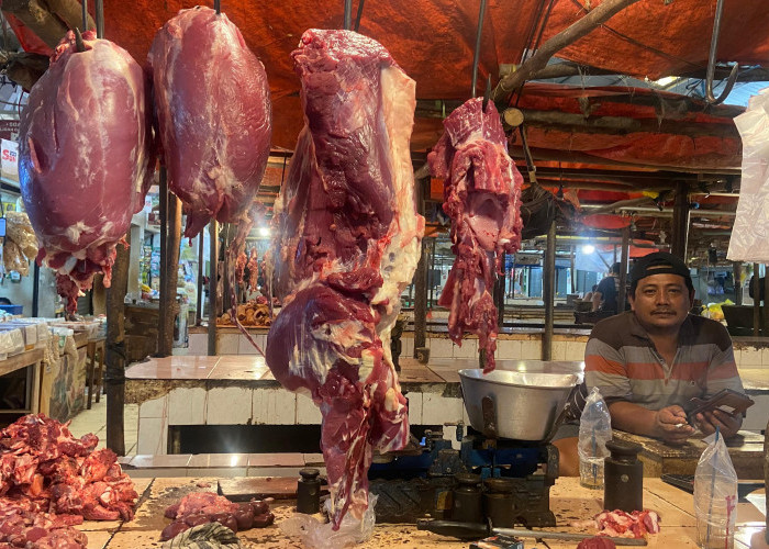 Kesenjangan Harga Daging Pasca Idul Adha di Metro, Daging Sapi Stabil Sedangkan Daging Ayam Turun