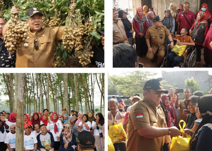 Gubernur Lampung Kagum dengan Kelengkeng Itoh Milik Jumadi