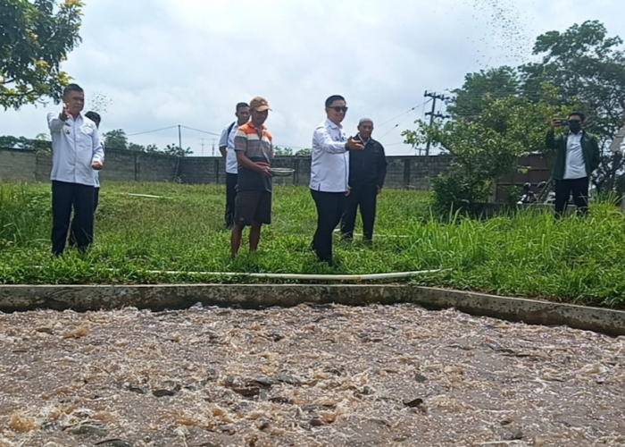 Tingkatkan Perekonomian Masyarakat, Pemkot Metro Rancang Pembudidayaan Lele di 22 Kelurahan
