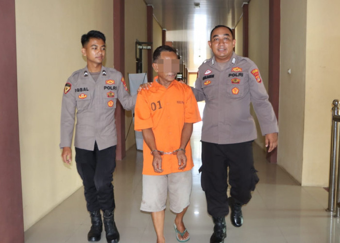 Seorang Pria di Pringsewu Ditangkap Polisi Diduka Lakukan KDRT