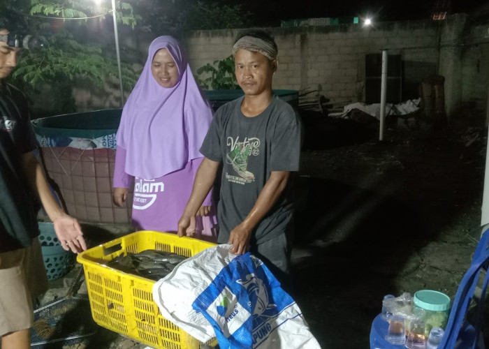 Pendamping PKH Kota Metro Dorong Graduasi Mandiri Melalui Program PPSE: Eva Damayanti Sukses Budidaya Lele
