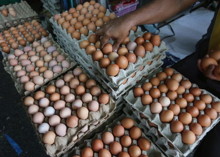 Harga Sembako di Pasar Purbolinggo Jelang Idul Adha Stabil, Pedagang Optimis Penjualan Tinggi