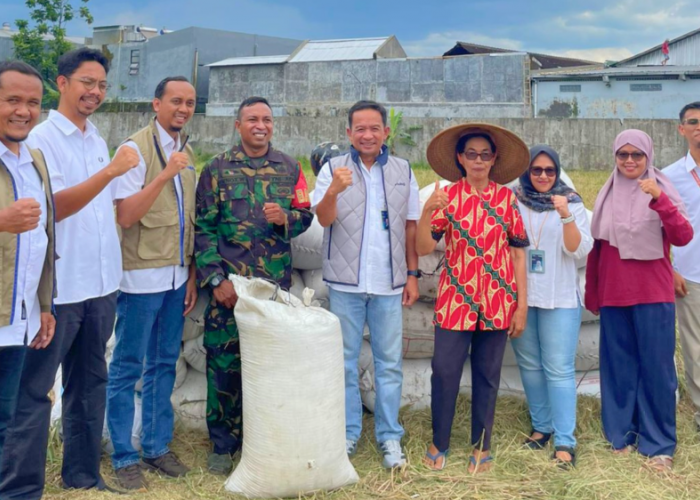 Amankan Cadangan Pangan Nasional, BULOG Yogyakarta Rampungkan 100 Persen Target Penyerapan Gabah 2026
