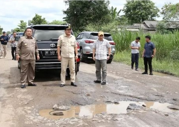 Jokowi akan 'Blusukan' ke Lampung, Gubernur dan Bupati Kompak Melihat Jalan Rusak di Rumbia Lamteng