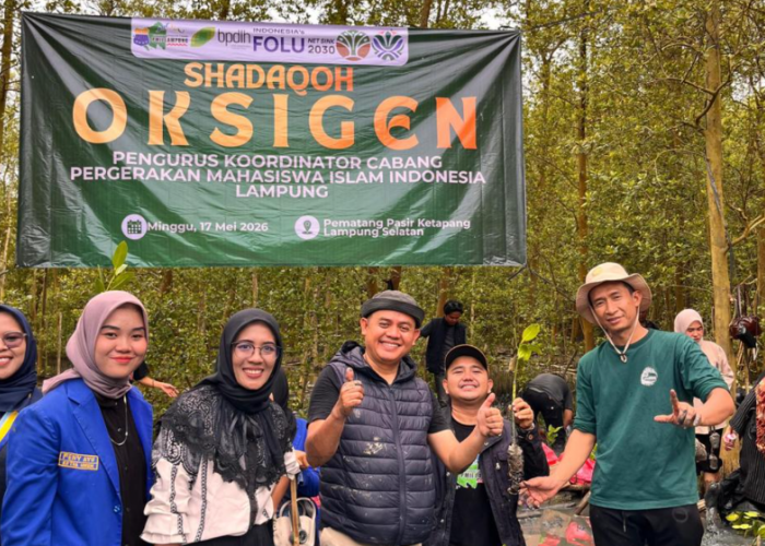 PKC PMII Lampung Bersama Cabang Se-Lampung Tanam 5.000 Bibit Mangrove di Pesisir Ketapang