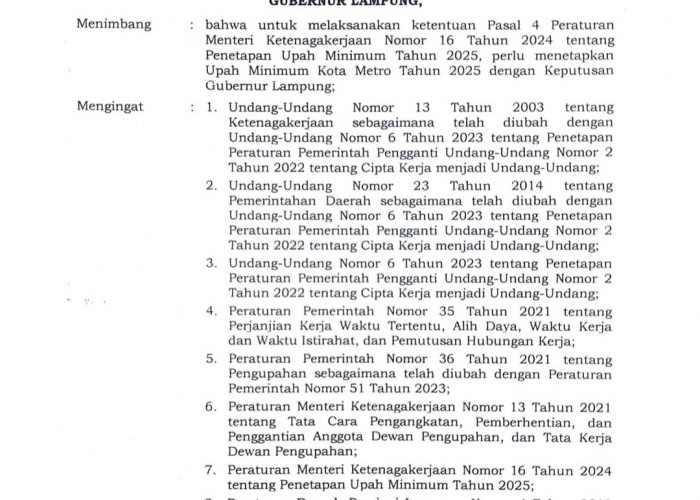 UMK Metro Tahun 2025 Resmi Ditetapkan, Cek Ini Besarannya! 