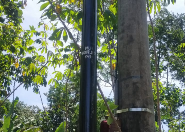 Pemasangan Tiang Internet di Nunggal Rejo Lamteng Diduga Belum Kantongi Izin 