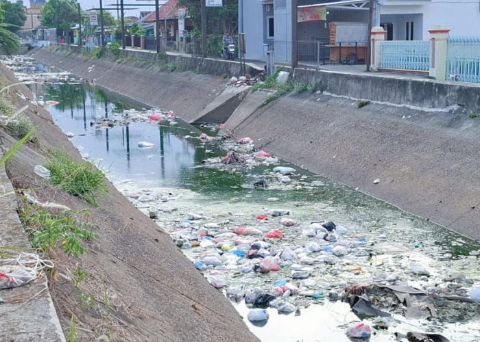 Memprihatinkan, Irigasi Primer di Kota Metro Banyak Sampah! 