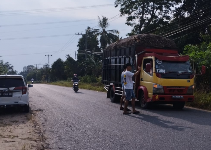 Protes Harga dan Potongan, Perwakilan Koordinator PPUKI Lamteng Hari Gelar Aksi Imbauan Stop Panen Singkong