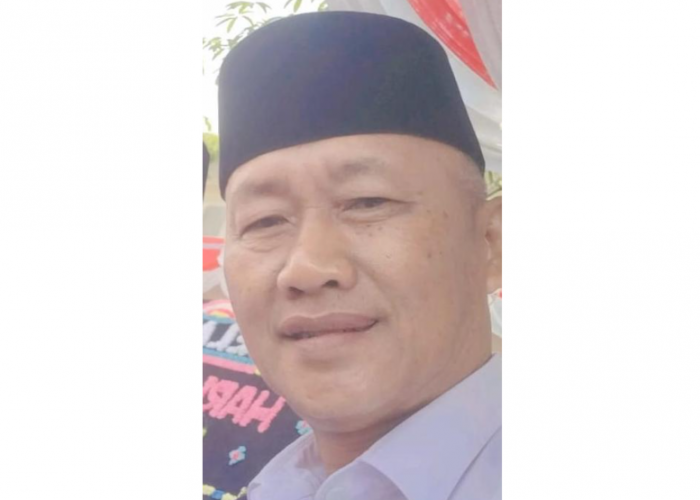 Tapir Dilindungi Muncul di Kawasan Register 45, Camat Mesuji Timur Imbau Warga Jangan Mengganggu