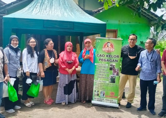KUR BRI Bantu Pengusaha Wanita Asal Sleman Ubah Kelor Jadi Aneka Olahan Pangan 