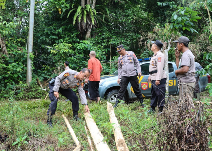 Kawanan Gajah Liar Rusak 6 Hektare Lahan Warga Sedayu