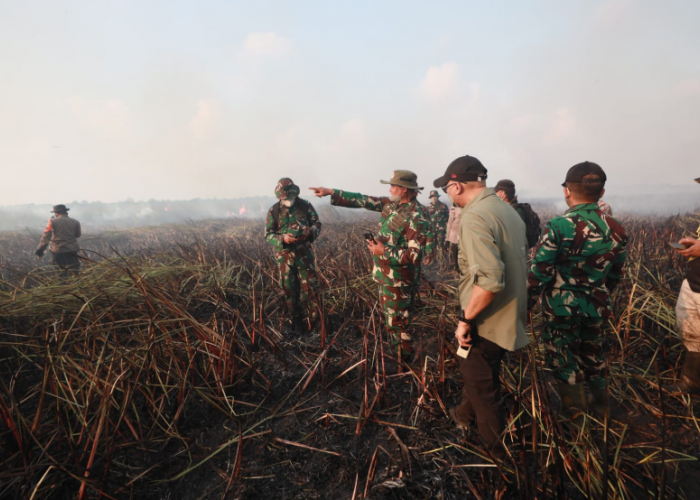 Tim Alfa TNI Dikerahkan untuk Jinakkan Karhutla yang Mengancam Way Kambas